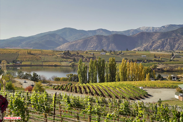 Lake Chelan Wine & Jazz Festival performance